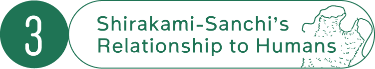 3 Shirakami-Sanchi’s Relationship to Humans